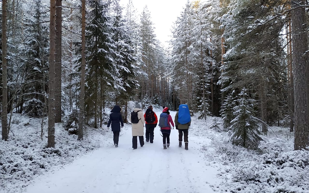 Winter Wonderland Hike in a National Park 10