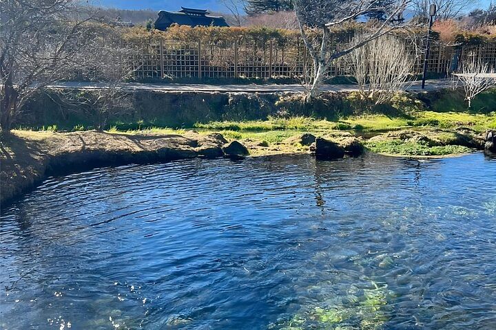 Tokyo: Mt.Fuji Area, Oshino Hakkai & Kawaguchi Lake Day Trip