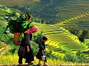 Sapa 3 Days 2 Nights Trekking Tour (1 Night In Ta Van Village, 1 Night In Hotel)