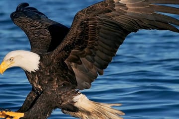 Canoeing and Cave Exploration at James Bond Island, Phuket