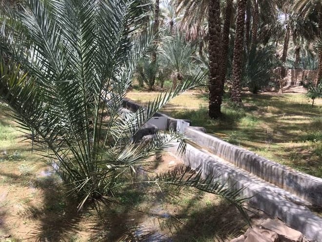 Al Ain Private City Tour With Lunch At The Top Of Jabel Hafeet Mountain  4