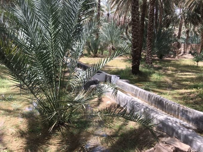 Al Ain Private City Tour With Lunch At The Top Of Jabel Hafeet Mountain 4