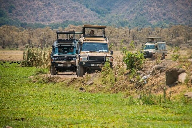 3-Day Tanzania Group Joining Safari 10