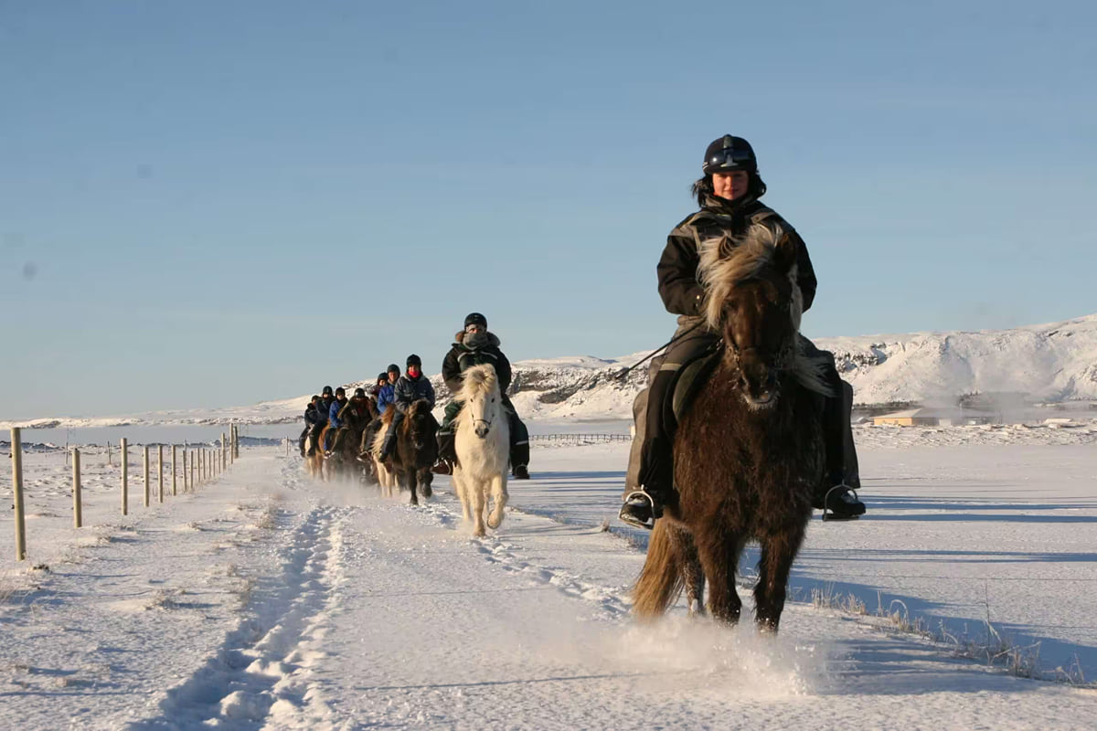 Horses & Elves, Iceland