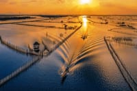 TAM GIANG LAGOON AND FISHERMAN’S FEAST HALF-DAY TOUR 1