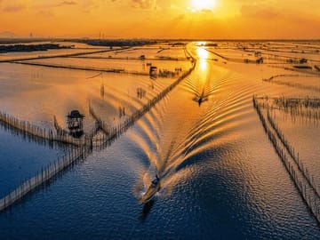 Tam Giang Lagoon Tour with Seafood Feast in Hue