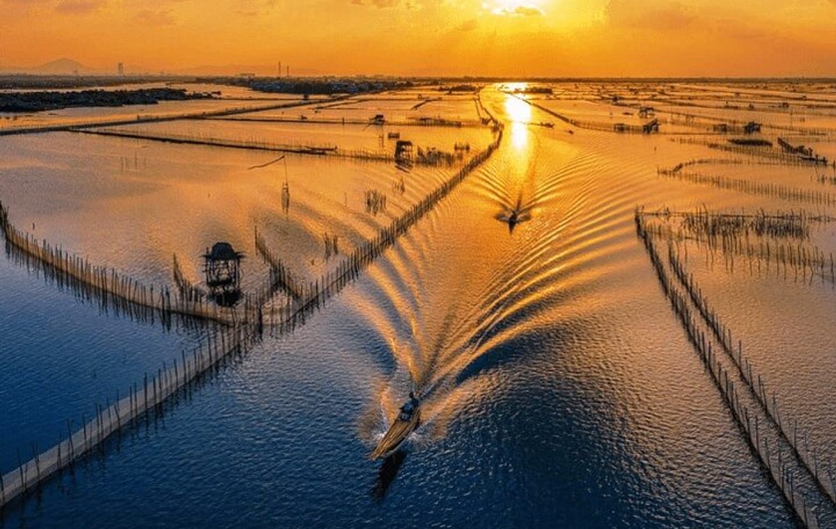 Half-day Tam Giang Lagoon Adventure And Fisherman’s Feast