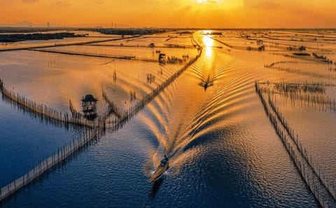 Tam Giang Lagoon Tour with Seafood Feast in Hue