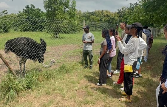 Ghana’s Eastern and Greater Accra Region Private Guided Tour