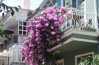  Istanbul: Princes Islands Tour with Hotel Transfer & Lunch 3