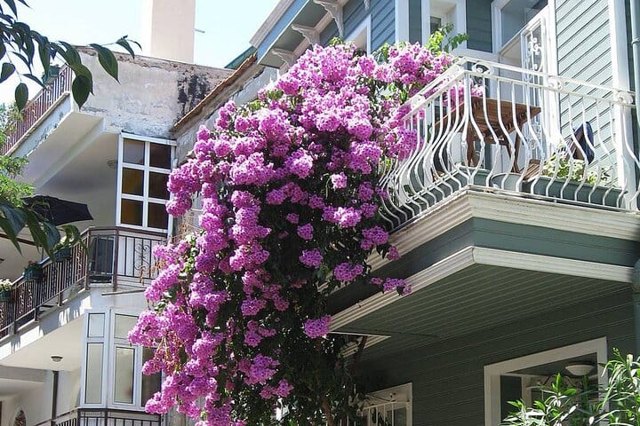  Istanbul: Princes Islands Tour with Hotel Transfer & Lunch 3