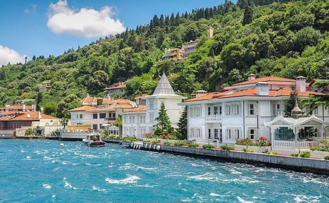 Istanbul Princes' Islands Day Tour with Lunch and Pickup
