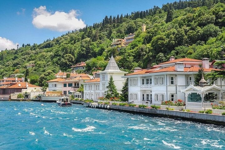 Istanbul All-Inclusive Princes’ Islands Tour+Lunch & Hotel Pickup 2