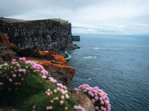 3 Day - Westfjords Highlights Adventure, photo 5