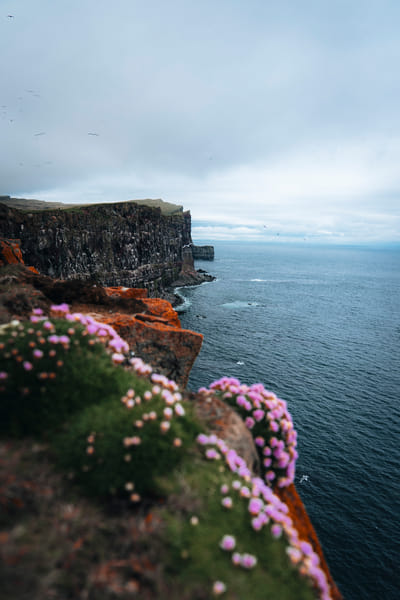 3 Day - Westfjords Highlights Adventure photo 5