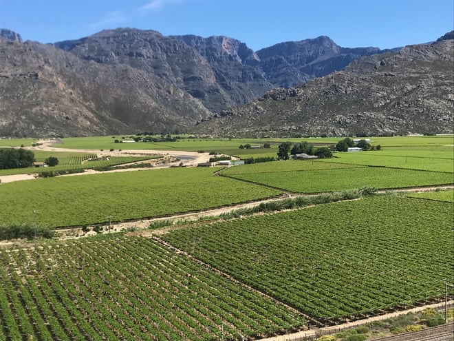 CAPE TOWN  :FULL-DAY  WINE  TASTING TOUR WITH  WINE  TRAM - Photo 21