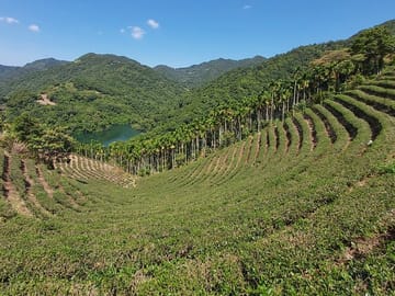 Thousand Island Lake and Pinglin Tea Plantation from Taipei