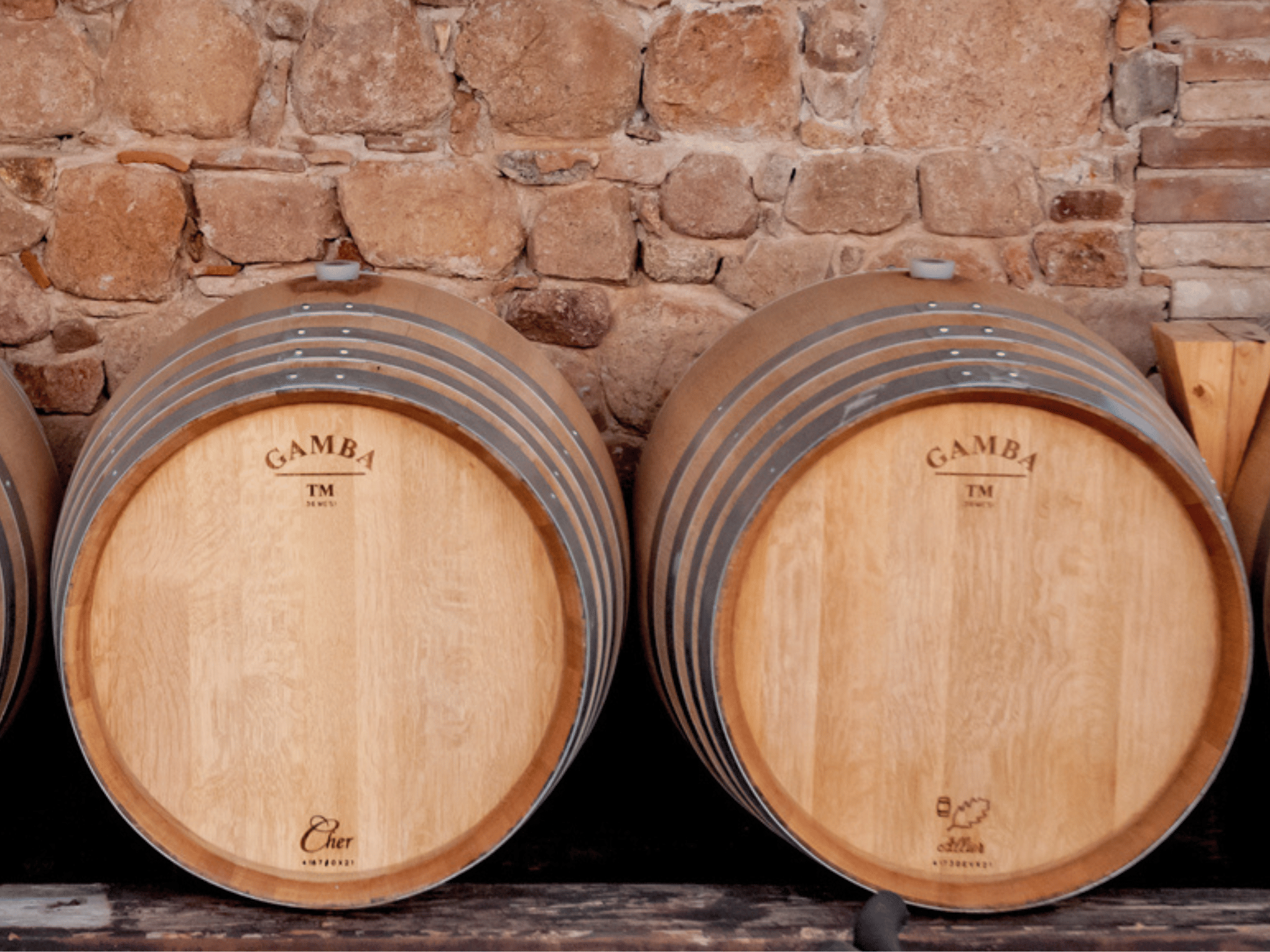 Wine Tasting & Winery Visit on Cagliari Countryside Hills