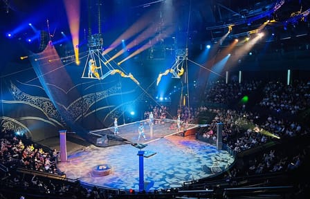 Acrobatics Show at Shanghai Circus World ERA Theatre