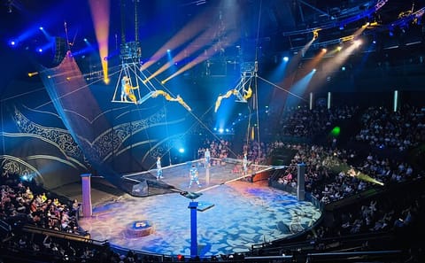 Acrobatics Show at Shanghai Circus World ERA Theatre