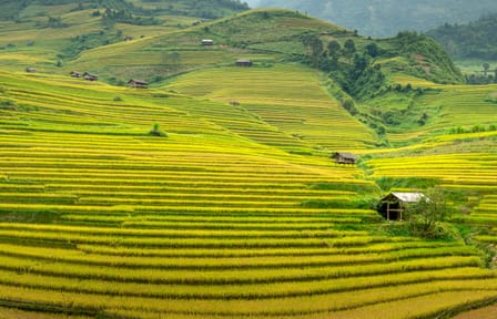 Cultural and Scenic Tour of Northern Vietnam in 7 Days