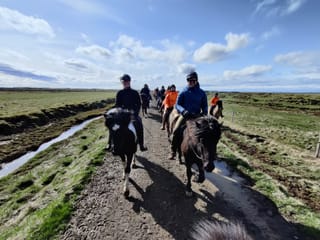 02G - Icelandic Diversity 