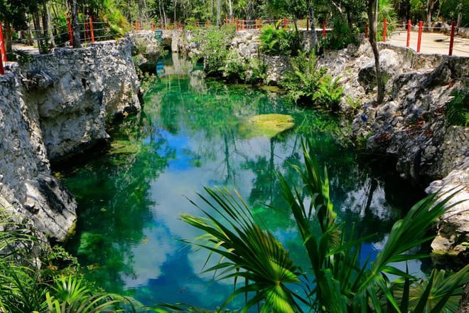 Tour en Cenote de Tulum 5 Cenotes y Despierta Tus Sentidos