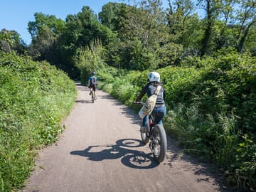 Appian Way Bike Tour with Aqueducts and Catacombs Option