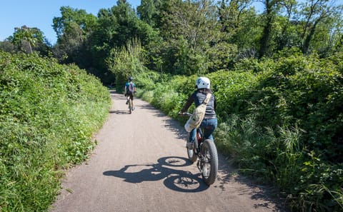 Appian Way Bike Tour with Aqueducts and Catacombs Option