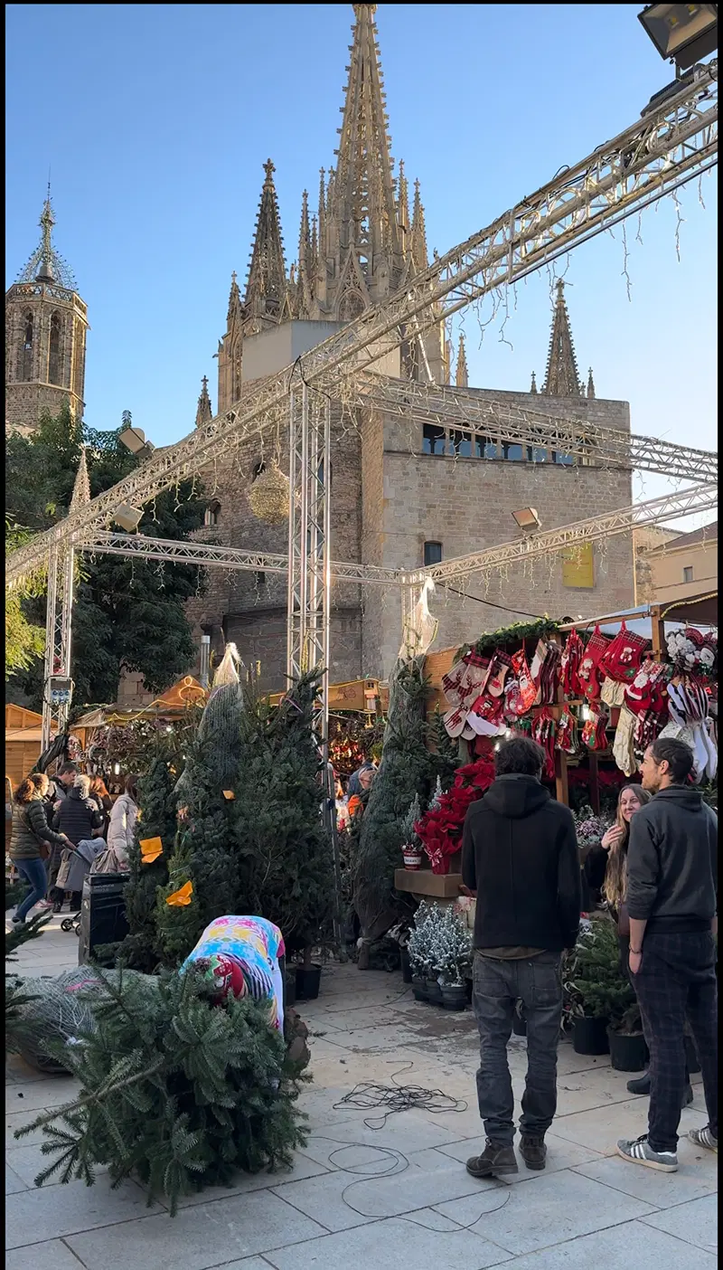 Stalls of the Fira de Santa Llúcia in front of Barcelona Cathedral