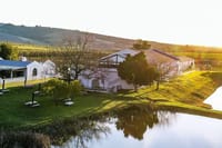 Full Day Wine Tour in Stellenbosch with Shine The Way Tours 9