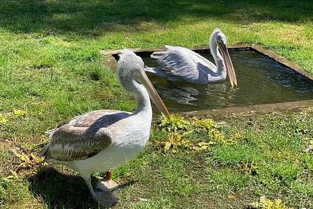 Karavasta Lagoon Boat Trip & Nature Walk Tour from Tirana