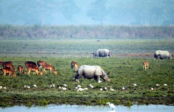 Tiger Reserve and Tribal Village