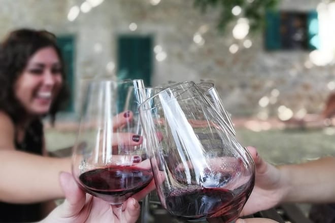 Safari in Chianti Open Top Van and Tasting Wine 9