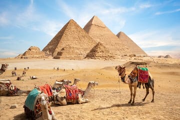Half-Day Tour of the Great Pyramids and Sphinx in Cairo