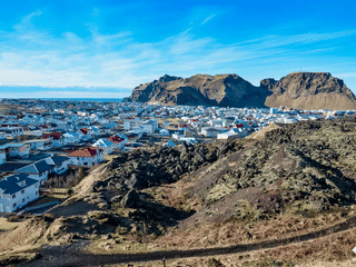Vestmannaeyjar Day Tour, photo 16
