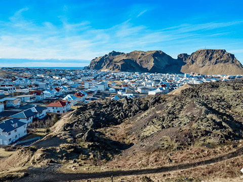 Vestmannaeyjar Day Tour, photo 16
