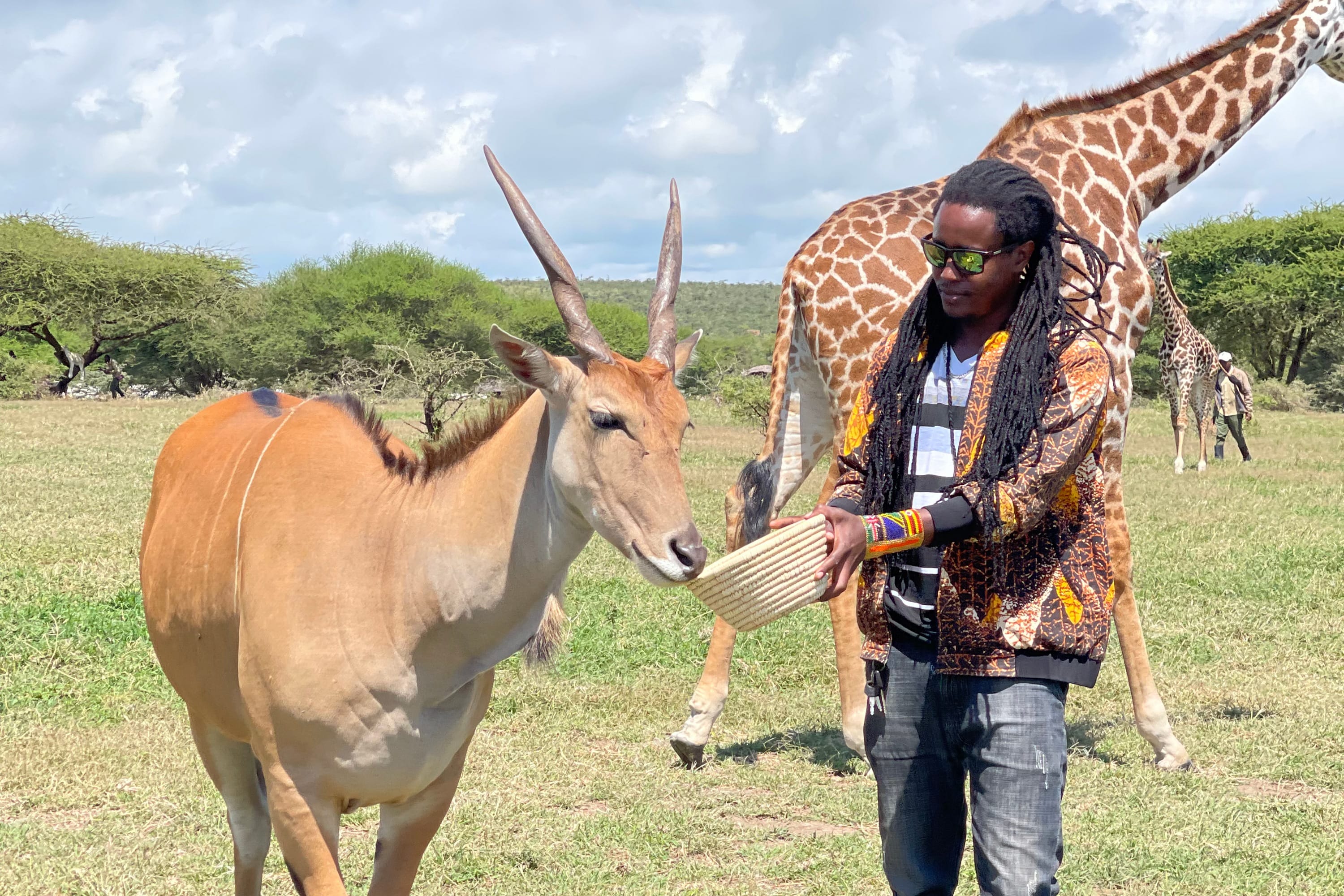 ​Close-up interaction with a majestic Eland in a private wildlife sanctuary.