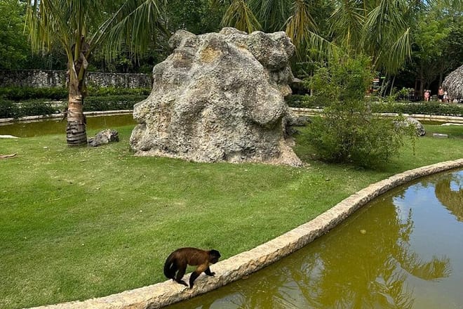Family Adventure Day: Ziplining, Cenote Swim, Waterfall & Monkeys 10