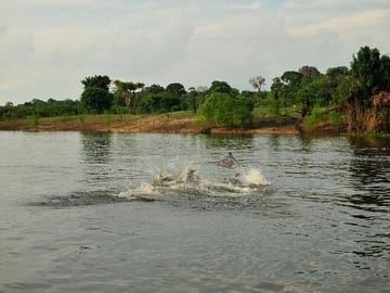 5-Day Amazon Manaus Jungle Adventure