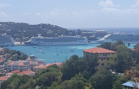 Private Half-Day ATV and City Tour in Charlotte Amalie