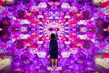 Explore Contemporary Art at Dubai's House of Hype