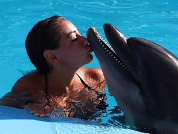 Premium Dolphin Photo Session in Pool Interaction & Transfer – Hurghada