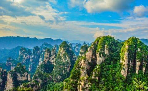 Zhangjiajie National Forest Park Sightseeing Tour