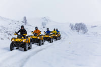 ATV & Whale Watching 7