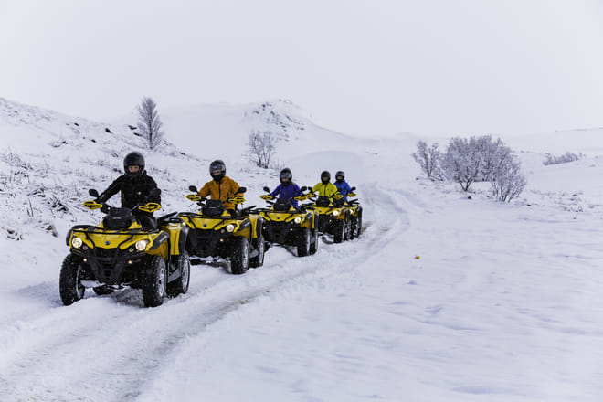 ATV & Whale Watching 7