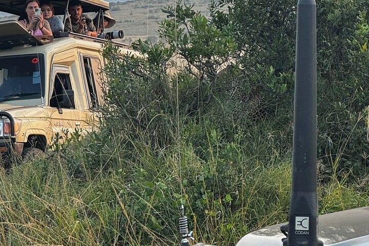 3 Days Masai Mara Midrange Group Safari