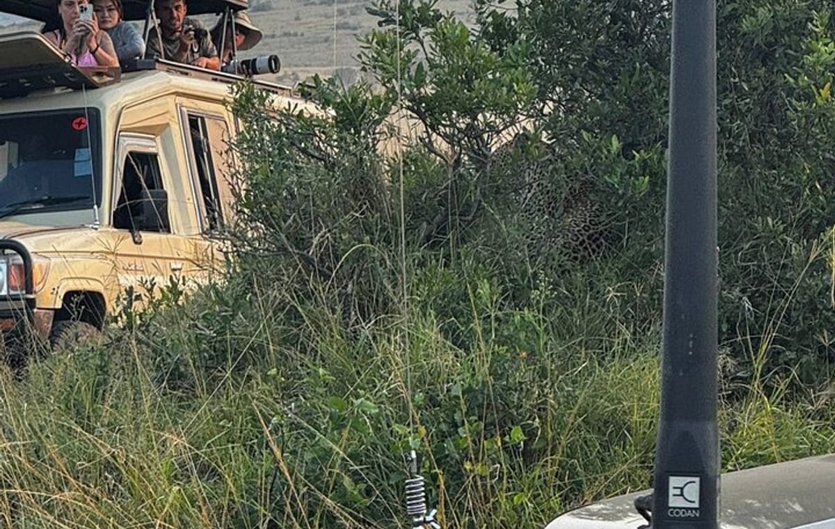 4 Days Masai Mara and Lake Nakuru Group Joining Safari