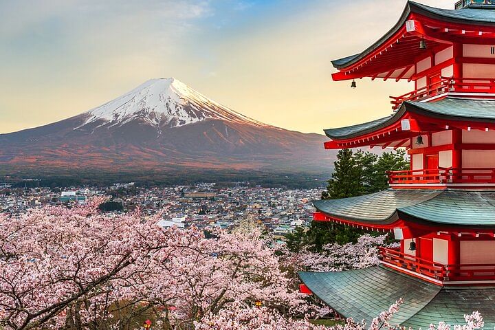 Mount Fuji and Hakone Private Day Trip by Car/Van - in English