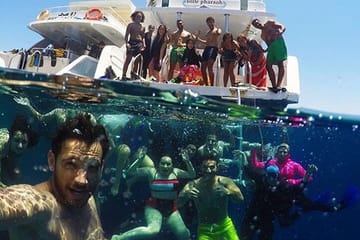 Swim with Wild Dolphins in the Red Sea from Hurghada